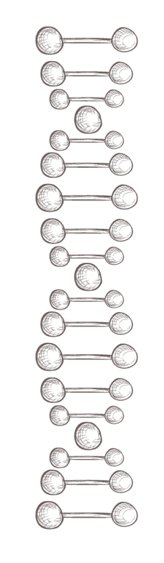 double helix